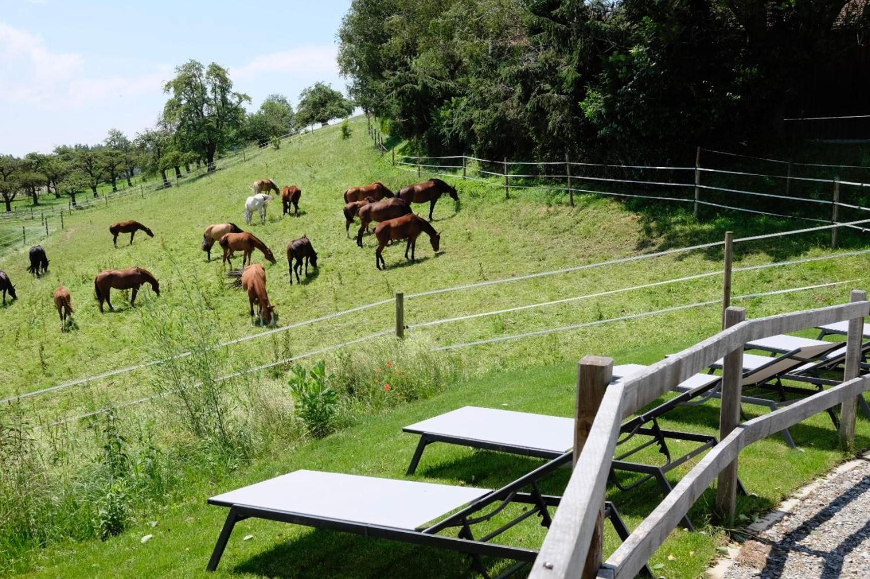 Trautesheim Ferienwohnungen Wangen im Allgäu Exterior foto
