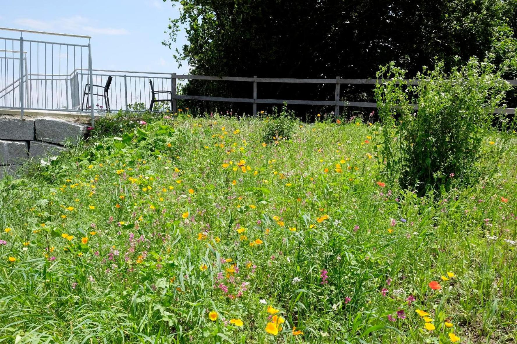 Trautesheim Ferienwohnungen Wangen im Allgäu Exterior foto